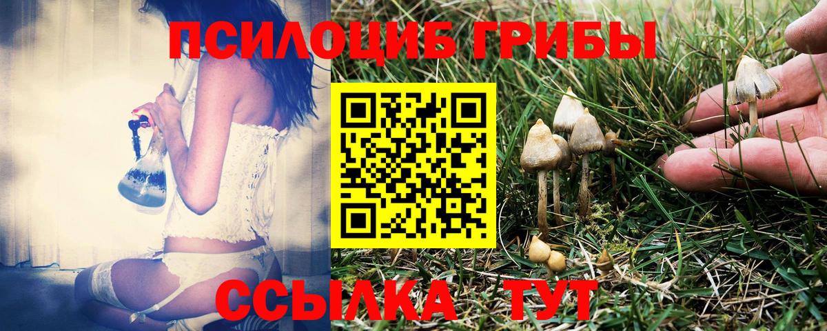 Нефтекамск  Псилоцибиновые грибы Cubensis  Вход с VPN  Псилоцибиновые грибы GOLDEN TEACHER 